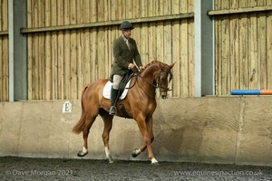 Isis Dressage Crown Farm Show 29th April 2012